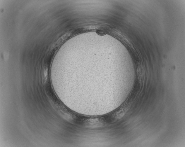 X0000070370406200607072133