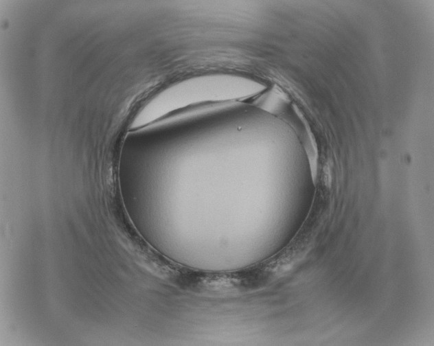 X0000070370407200607072133