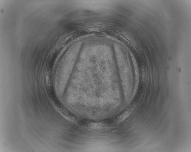 X0000070370408200607072133