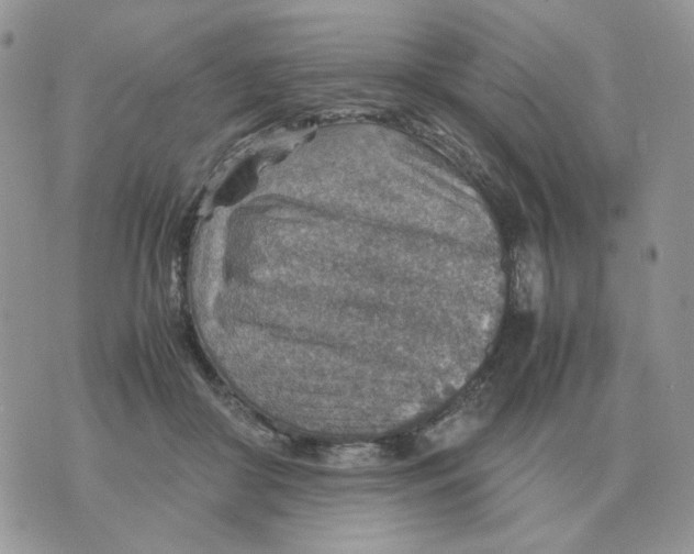 X0000070370410200607072133