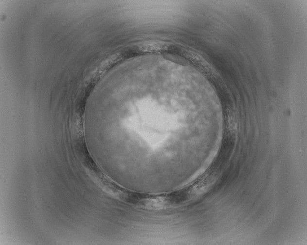 X0000070370411200607072133