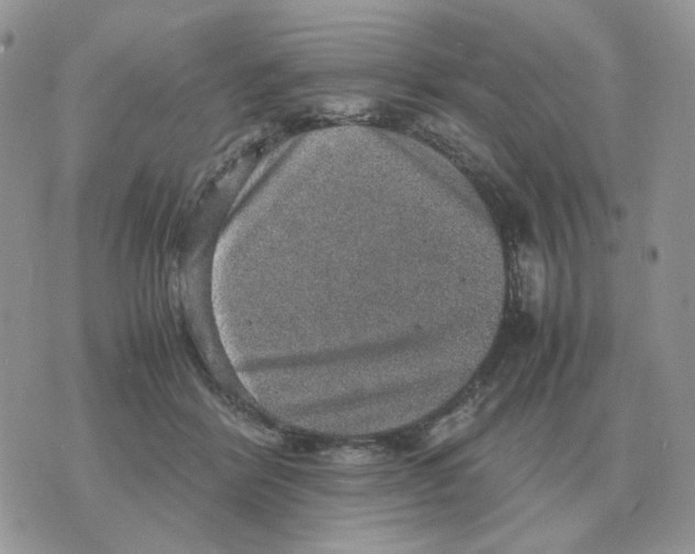 X0000070370412200607072133