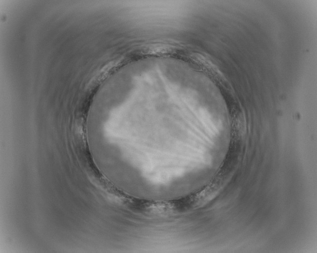 X0000070370415200607072133