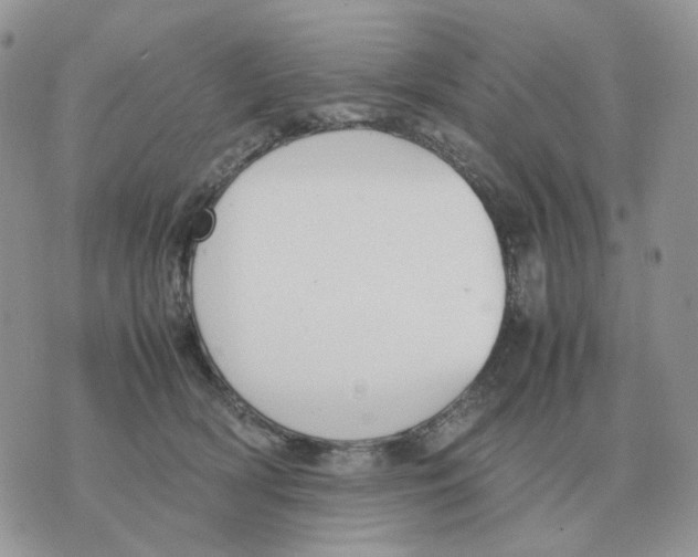 X0000070370418200607072133