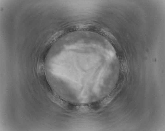 X0000070370419200607072133