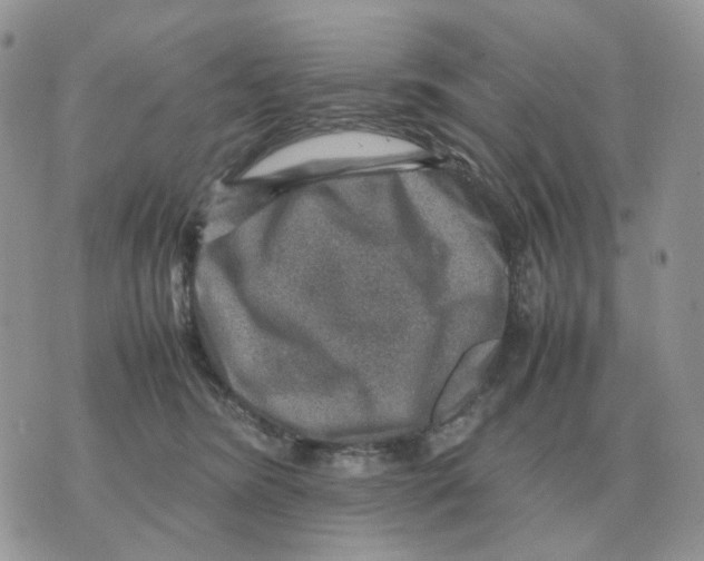 X0000070370420200607072133