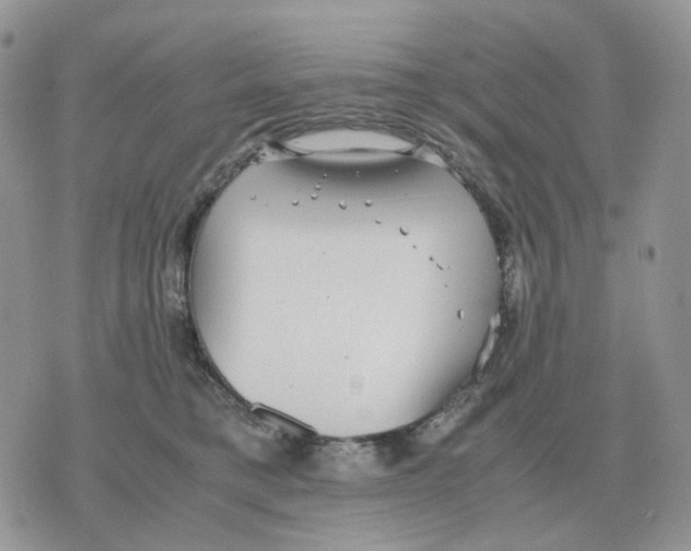 X0000070370421200607072133