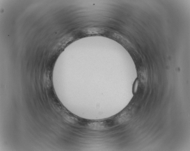 X0000070370422200607072133