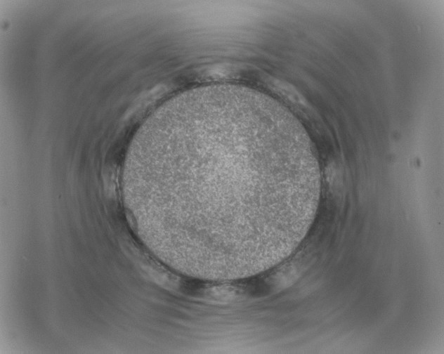 X0000070370423200607072133