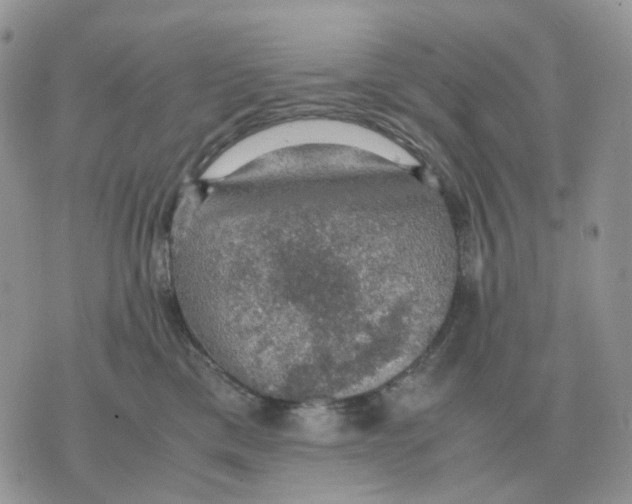 X0000070370425200607072133