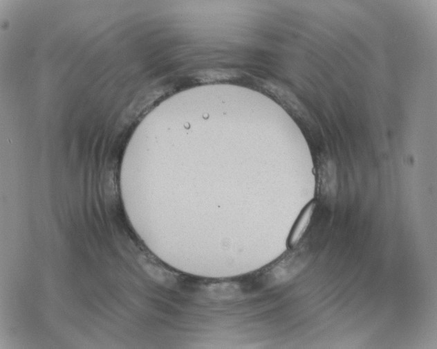 X0000070370426200607072133