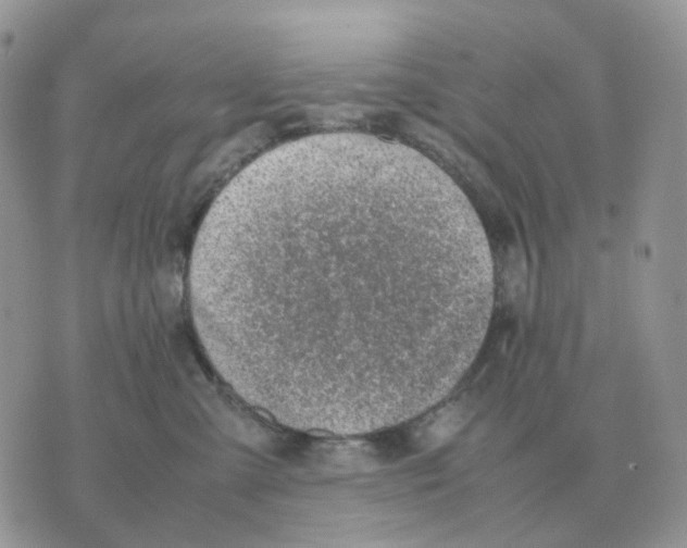 X0000070370427200607072133