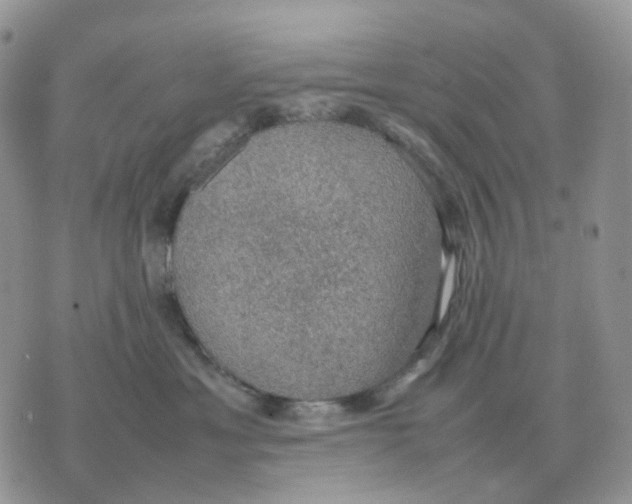 X0000070370429200607072133