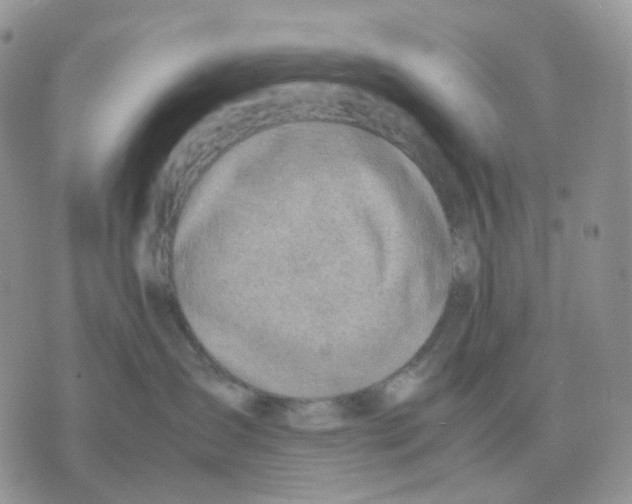 X0000070370431200607072133