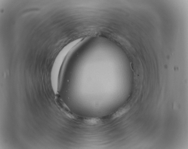 X0000070370432200607072133