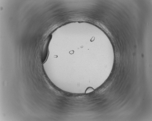 X0000070370433200607072132