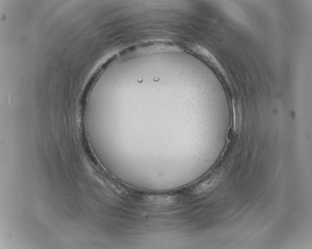 X0000070370435200607072132