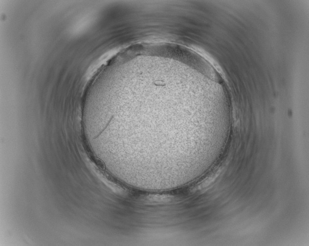 X0000070370437200607072132