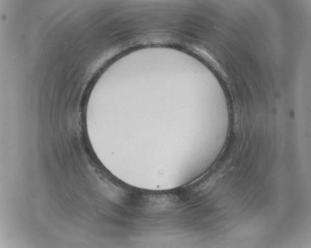 X0000070370439200607072132