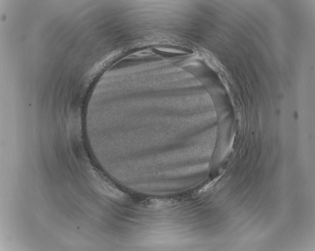 X0000070370442200607072132