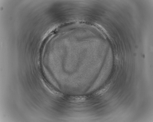 X0000070370443200607072132