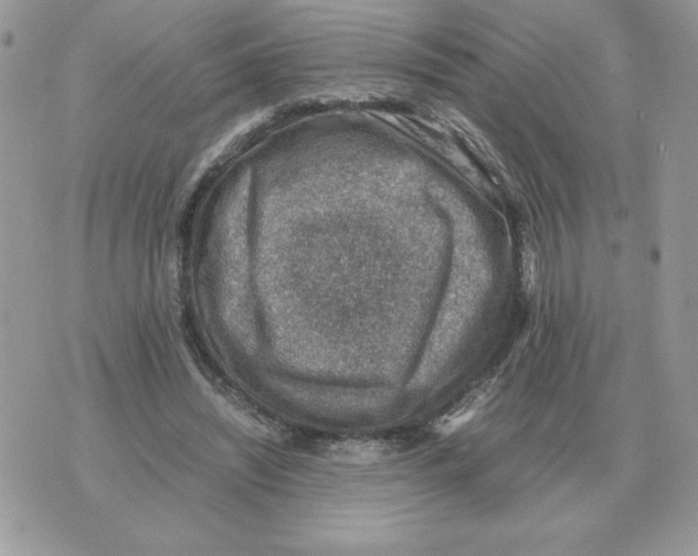 X0000070370444200607072132