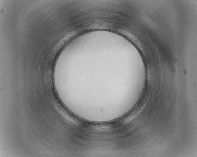 X0000070370445200607072132