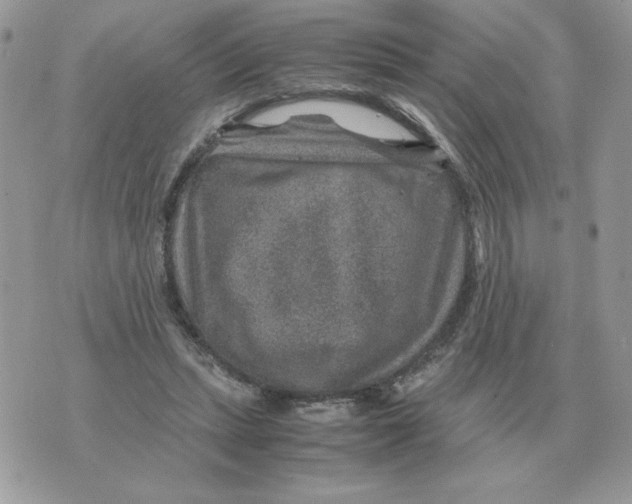 X0000070370447200607072132