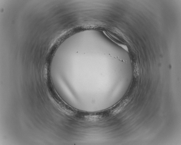 X0000070370448200607072132