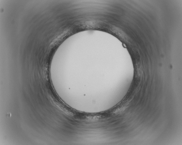 X0000070370450200607072132