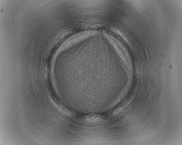 X0000070370451200607072132