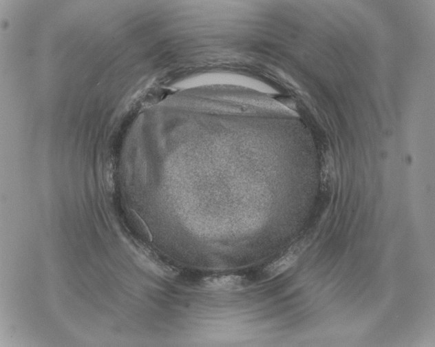 X0000070370452200607072132