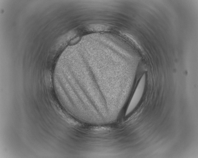 X0000070370453200607072132