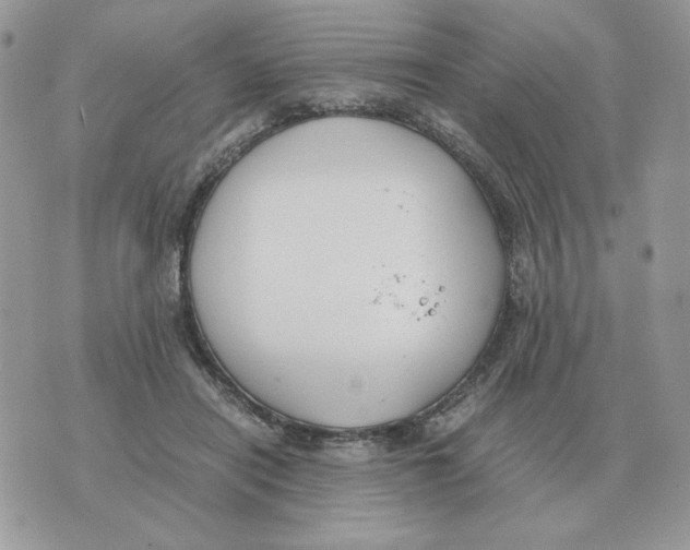 X0000070370454200607072133