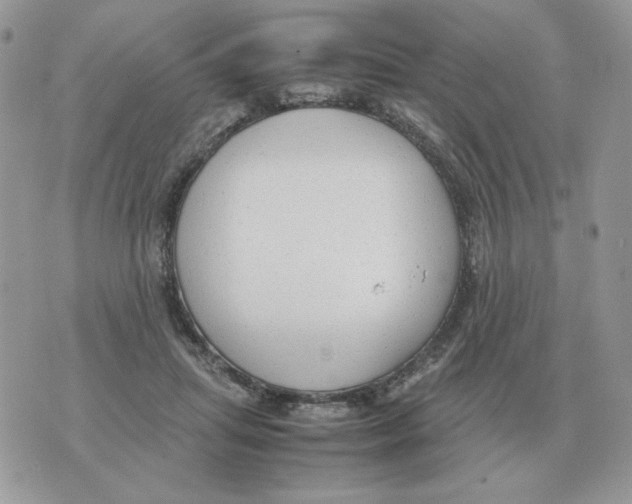 X0000070370455200607072133