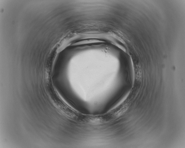 X0000070370456200607072133