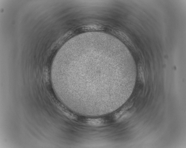 X0000070370457200607072133