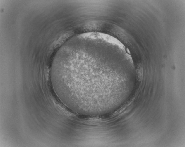 X0000070370458200607072133