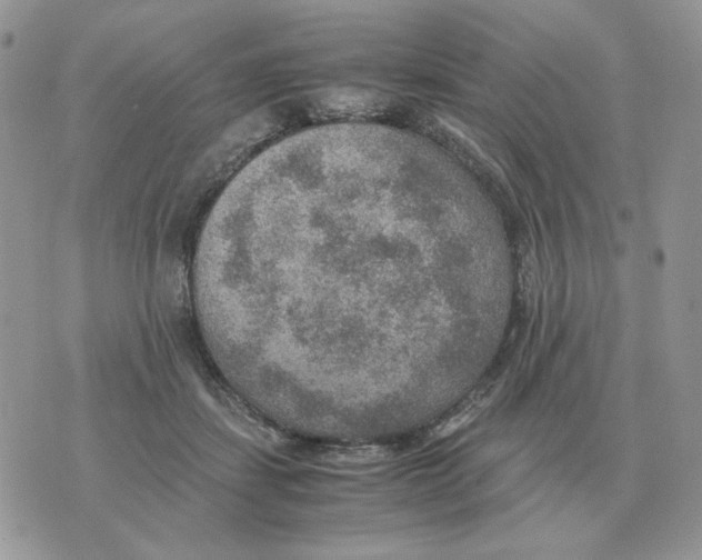 X0000070370459200607072133