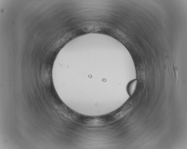 X0000070370460200607072133