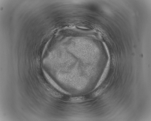 X0000070370461200607072133