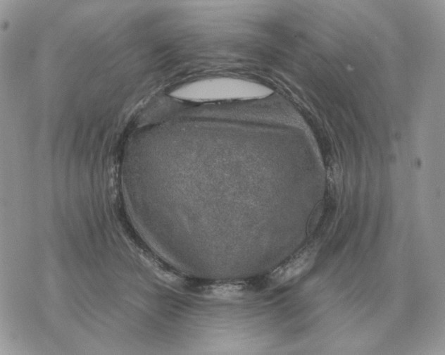 X0000070370462200607072133