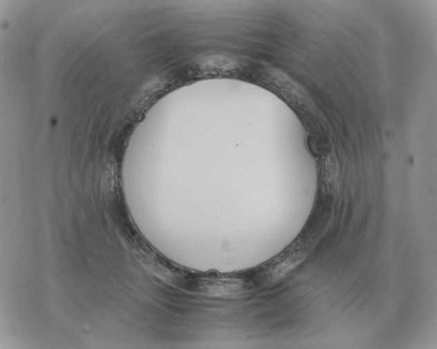 X0000070370463200607072133