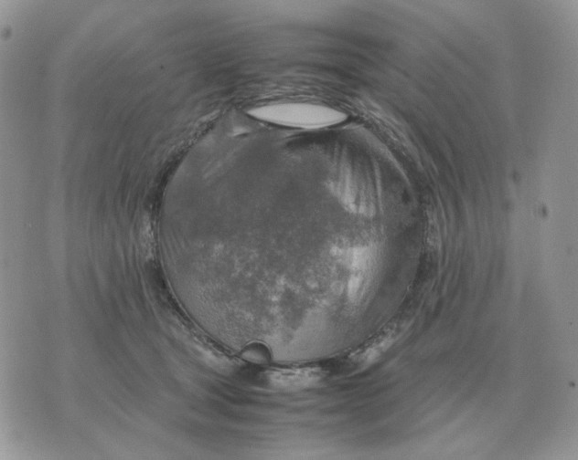 X0000070370465200607072133