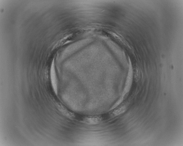 X0000070370466200607072133