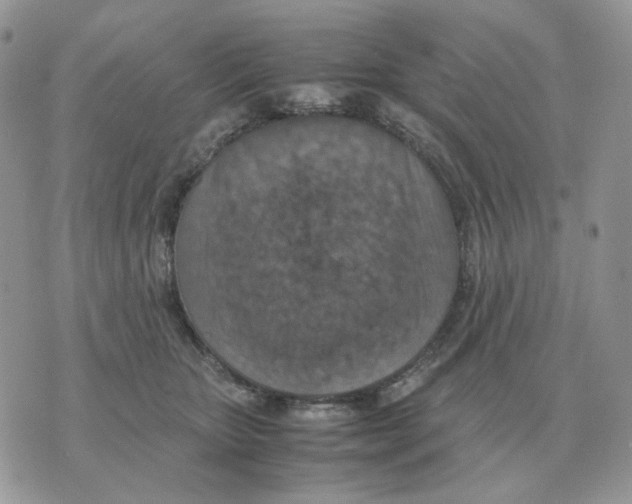 X0000070370467200607072133