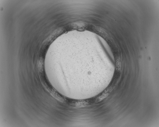 X0000070370468200607072133