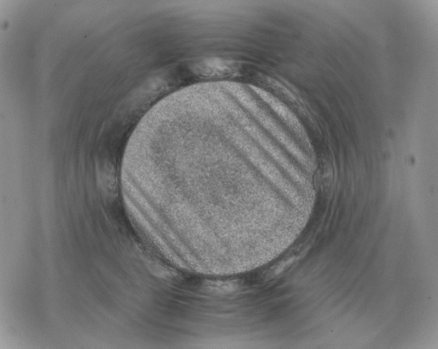 X0000070370469200607072133