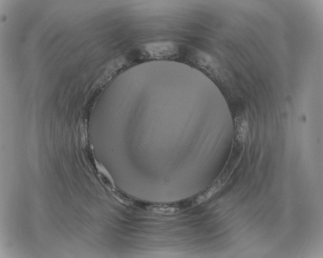 X0000070370471200607072133