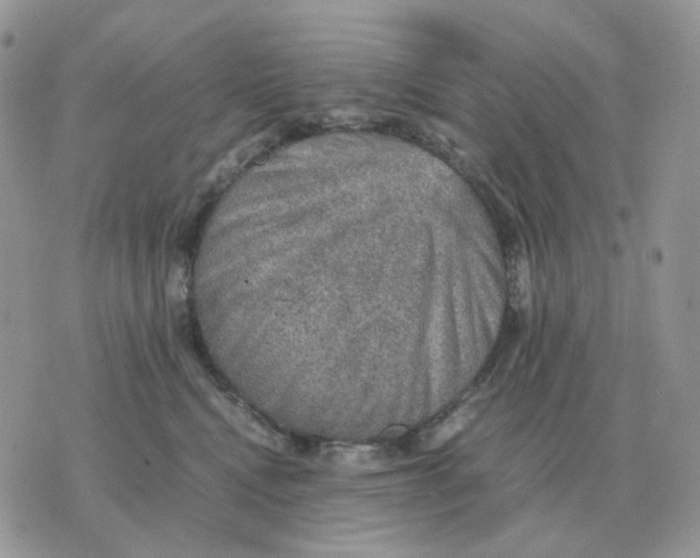 X0000070370472200607072133